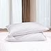Standard / Queen Size, Goose Feather and Down Bedding Pillow Insert, Pack of 2, Hotel Collection Pillows for Sleeping, 100 Percent Nature Cotton Shell, (Size 18x26