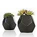 MyGift Set of 2 Realistic Artificial Succulent Plants in Matte Black Modern Geometric Ceramic Pots