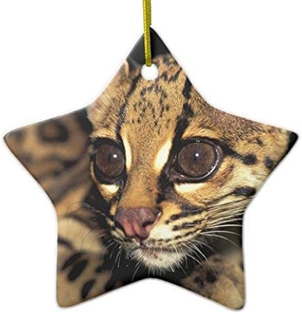 Amazon Moira クリスマスオーナメント カ セントラルパナマ ソベラニア国立公園 マーゲイ 2スター セラミッククリスマスオーナメント クリスマスツリーデコレーション 記念品 カップル インテリア オンライン通販