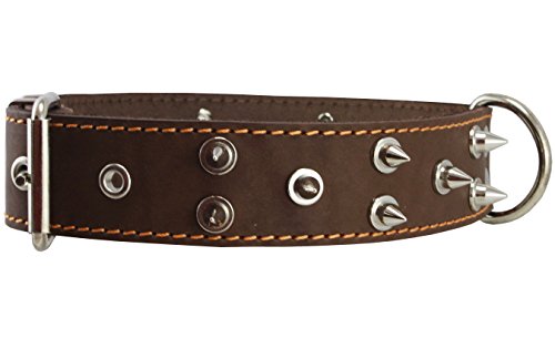 Real Leather Brown Spiked Dog Collar Spikes, 1.6" Wide. Fits 19"-23" Neck, Large Breeds Mastiff, American Bulldog.