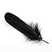 Sowder Natural Goose Feathers Clothing Accessories Pack of 100(Black)