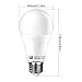 LE® 12W A19 E26 LED Bulbs, 75W Incandescent Bulbs Equivalent, 1050lm, Daylight White, 6000K, Medium Screw, 180° Beam Angle, LED Light Bulbs, Pack of 5 Units