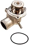 Wahler Thermostat Kit