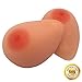 FEMINIQUE Breast Forms 2400G(SZ12) Silicone Breast Forms from for Cross Dresser