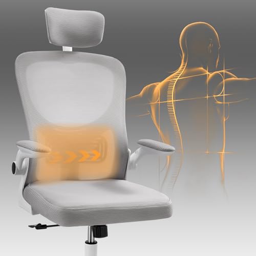 OSLIFE Silla Oficina con Altura Ajustable，con Función de Bloqueo de Inclinación Silla Ergonomica Escritorio，Respaldo Alto, Soporte Lumbar, Reposacabezas Ajustable, con Ruedas Silla Gamer (Gris)