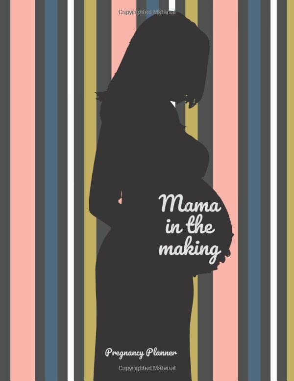 Mama in the Making: Detailed Pregnancy Planner and Organizer - Cute Funny Pregnancy Planner Journal - Neutral Multicolored Striped Design