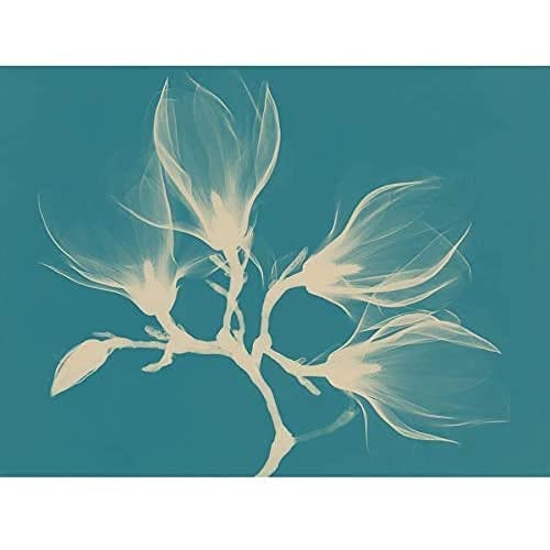 Magnolia Branch Xray Blue Art Print Canvas Premium Wall Decor Poster