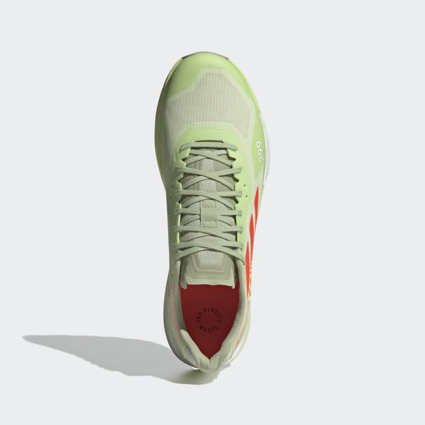adidas Terrex Agravic Flow 2 GTX W, Women's Trainers