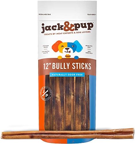 Jack & Pup 12-inch Premium Grade Odor Free Bully Sticks Canine Treats [Extra-Thick],– 12” Lengthy All Pure Connoisseur Canine Deal with Chews – Contemporary and Savory Beef Taste – 30% Longer Lasting