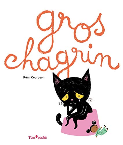 Amazon.fr - Gros chagrin - Courgeon, Rémi - Livres