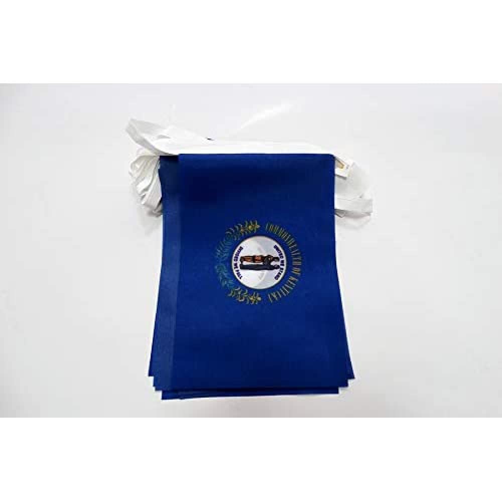 AZ FLAG Kentucky Bunting Flag, 20 Ft Garland 20 Small US state of Kentucky Flags 8'' x 6'', 100% Polyester String Pennant, 6 meters