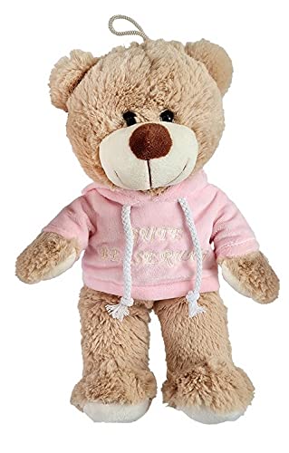 VRasehorn Plush Bear with Hoodie Get Well Soon Approx. 32 cm Pink Plush Toy Cuddly Toy Teddy Bear