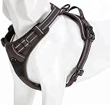 Truelove TLH5651 Dog Harness No-pull Reflective Stitching Brown M view 4