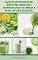 Livro Mais De 500 Receitas De Smoothie Verde Para Desintoxicação E Limpeza E Estilo De Vida Saudável : Smoothie Café Da Manhã, Smoothie De Perda De Peso, Smoothie Alcalino, Smoothie Vegetariano