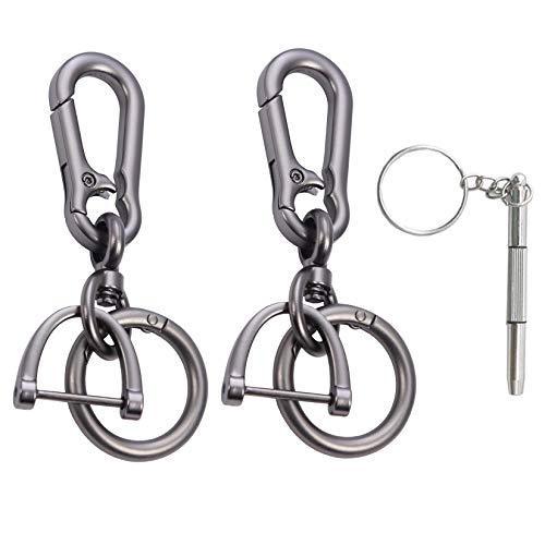 Keychain for Car Keys - Detachable Key Chain with Horseshoe Shape D-Ring and Quick Release Spring Key Rings, Metal Carabiner Clips, Simple Car Accessories Keychains for Men and Women(2Pack/Gun)