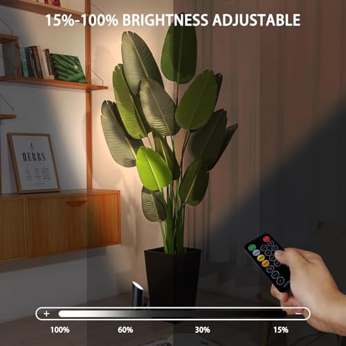 2-Pack Dimmable LED Indoor Floor Spotlights with, Remote and Timer, 3 Adjustable Color Temperature 3000K, 4000K, 6000K - Remote Controlled Uplighting for Living Room Decor, Wall Art, Plants, Corners