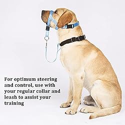 BARKLESS No-Pull Head Collar for Dogs Training