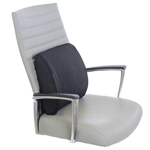 Milliard Lumbar Support Pillow, Memory Foam Chair Cushion Supports