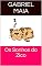 Livro Os Sonhos do Zico (Historias do Zico Livro 2)