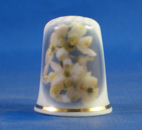 Porcelain China Collectable Thimble - Orange Blossom Flower with Free Gift Box