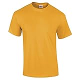 Gildan mens Heavy Cotton 5.3 oz. T-Shirt(G500)-OLD