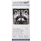 Wonderart Raccoon Latch Hook Kit, 12" X 12" - New