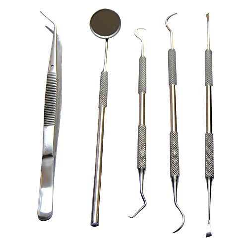 Dental Tools Smile Dent Pro Kit, Stainless Steel Dental Scaler, Mouth