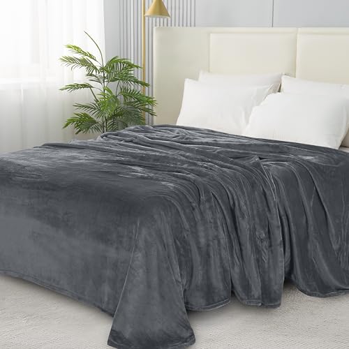 Elegant Comfort Luxe fluweelzachte zachte pluizige pluche micro-velours ultrazachte deken, vol/koningin, grijs