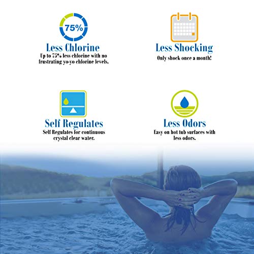 Frog Ease Floating Sanitizing System for Hot Tubs with 3 Refill Mineral