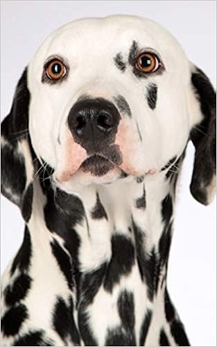 white with black dots dog