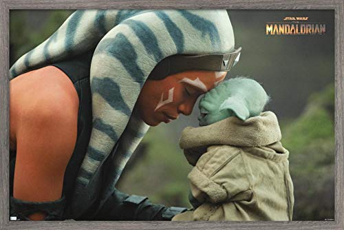 Trends International Star Wars The Mandalorian