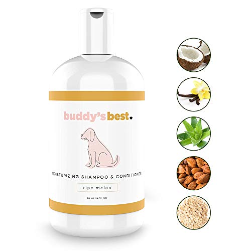 Buddy's Best, Natural Dog Shampoo and Conditioner in One
