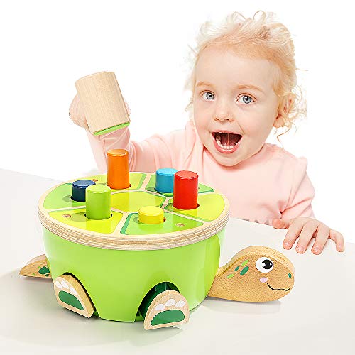 TOP BRIGHT Montessori Preschool Educational Learning Toy for