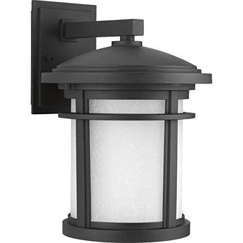 Progress Lighting Wish Collection 1-Light Etched White Linen Glass Craftsman Ou…