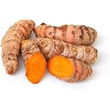 Fresh Yellow Turmeric Root - 2 Lbs. Save Money. Great Health Benefits. ขมิ้นสด TastePadThai