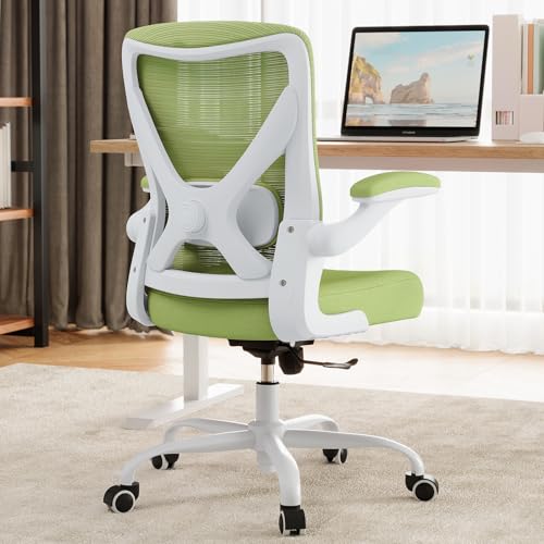 Ergalithic Mesh Ergonomic Office Chair