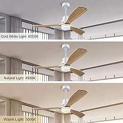 BOJUE 60” Ceiling Fans with Light Remote