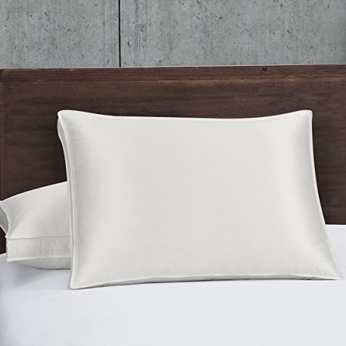 Royal Hotel Abripedic Silk Goose Down Pillow 450 Thread Count Cotton