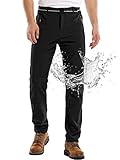 linlon Men's Snow Ski Waterproof Fleece Lined Pants