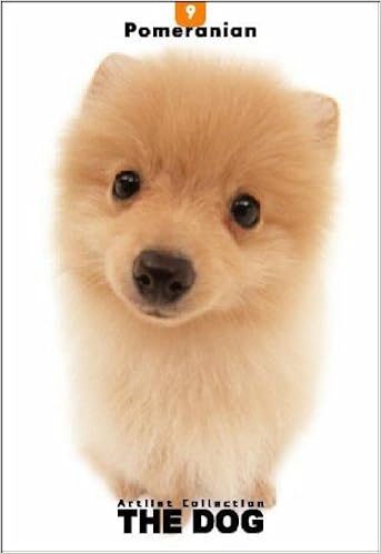 pomeranian amazon