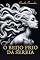 Livro O Beijo Frio Da Sereia