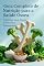 Livro Guia Completo de Nutrição para a Saúde Óssea: Fortaleça seus Ossos e Previne a Osteoporose