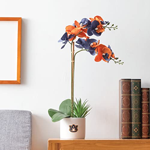 Auburn Orchid Plant - Auburn University Faux Orchid Plant - Auburn Gifts for Me…