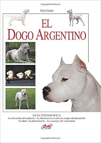 dogo argentinian