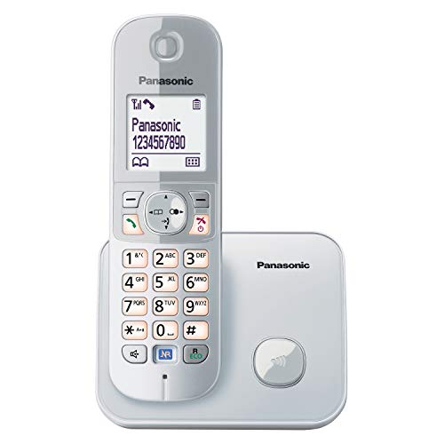 Panasonic Kx-Tg 6811 Téléphones Sans Fil Ecran [Version Allemande]
