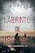 Livro Labirinto de Traidores (Um Thriller de Espionagem de Brianna Dagger — Livro 2)
