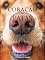 Livro Coração de Patas