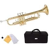 Mendini By Cecilio Bb Standard Trumpet Set for Beginners - Brass Student Trumpet Instrument with Hard Case, 7C Mouthpiece, Valve Oil, Cleaning Cloth, Gloves (Gold)