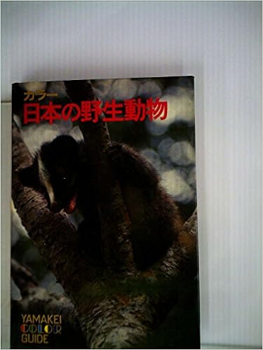 カラー日本の野生動物 1968年 山渓カラーガイド 11 田中 光常 本 通販 Amazon