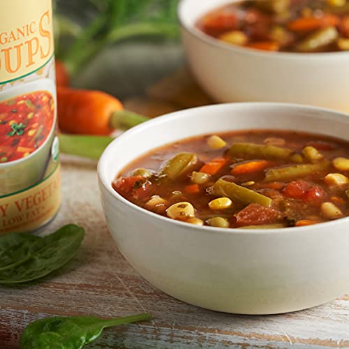 Amy's Soup, Vegan, Gluten Free, Organic Chunky Vegetable, Reduced